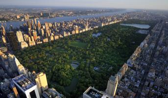 Central Park, su paisaje e historia